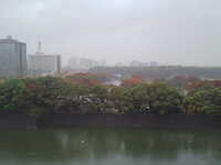  20111202-SN3P0203.JPG 