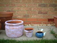  20041210-garden0412_painted_pots.JPG 