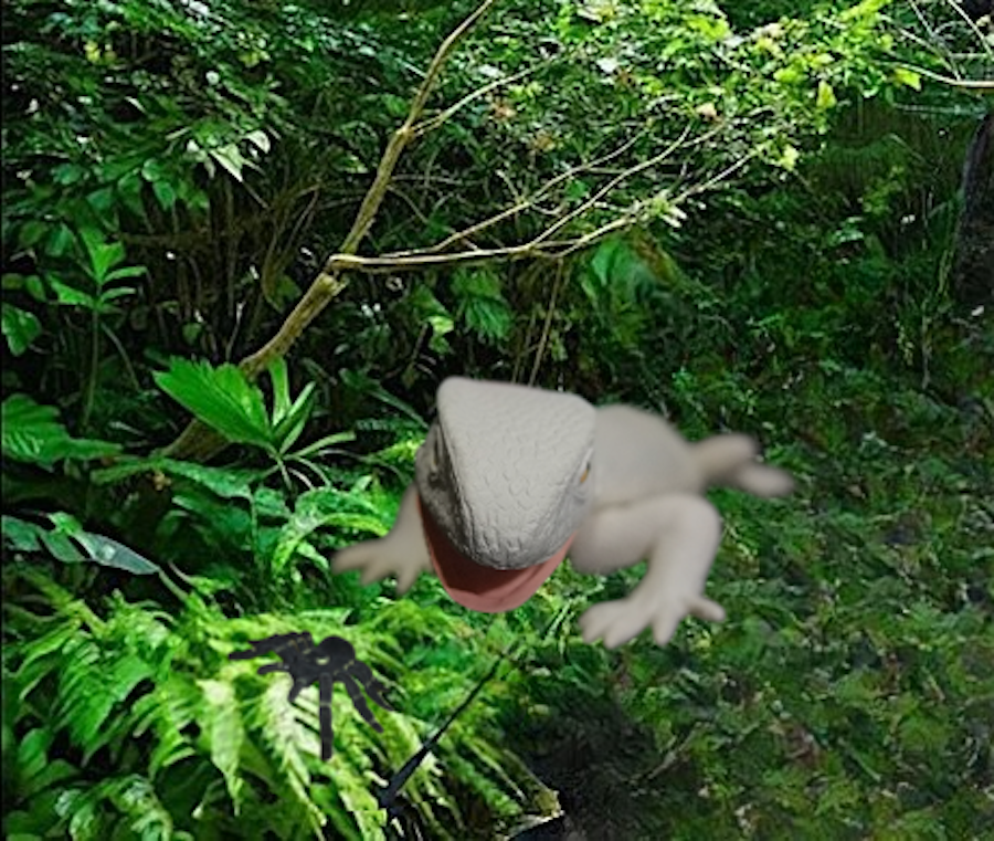 a5